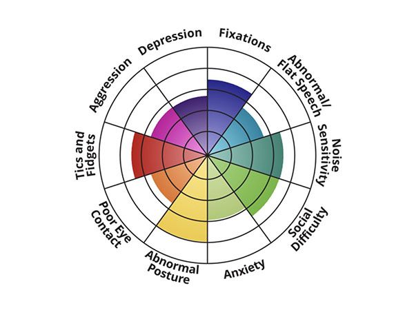 Autism "Spectrum" circle showing different categories (Aggression, Depression, Fixations, Abnormal/flat Speech, Noise Sensitivity, Social Difficulty, Anxiety, Abnormal Posture, Poor Eye Contact, Tics and Fidgets) with different levels/intensities in each piece of the pie. This indicates that autism is not a straight line of more or less, but a changing and flexible matrix of sensory, physical and behavioural things