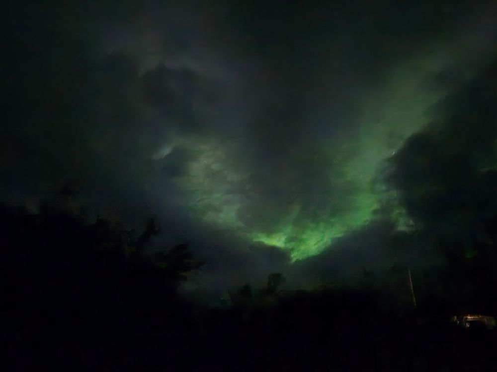Greens and minor pink of Aurora Borealis in my garden 