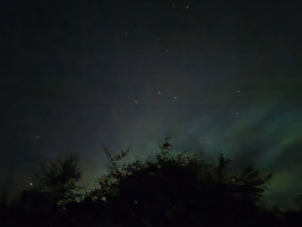Paler greens and more pink Aurora Borealis above my tree