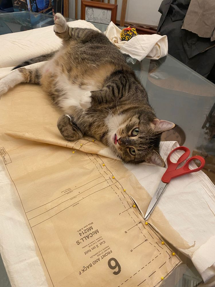 A cat rolls on its back atop a sewing project. 
