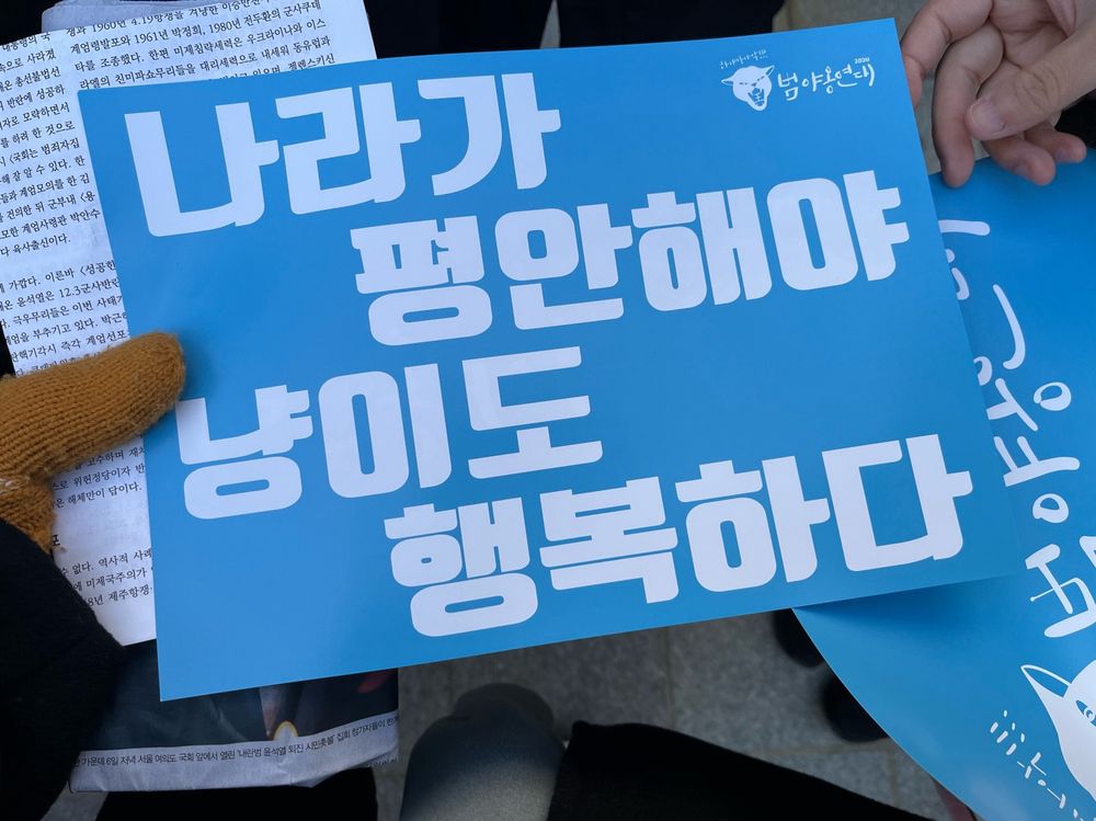 나라가 평안해야 고양이도 행복하다고 적힌 호소문