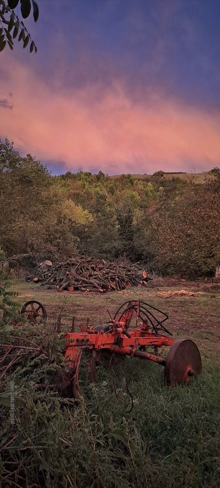 Un aratro rosso e in parte arrugginito e una catasta di tronchi ammassati alla rinfusa si trovano l'uno opposto all'altra ai margini di una radura. Sullo sfondo, il  bosco sulla collina è sovrastato da una nuvola che per effetto del tramonto è di colore rosa.