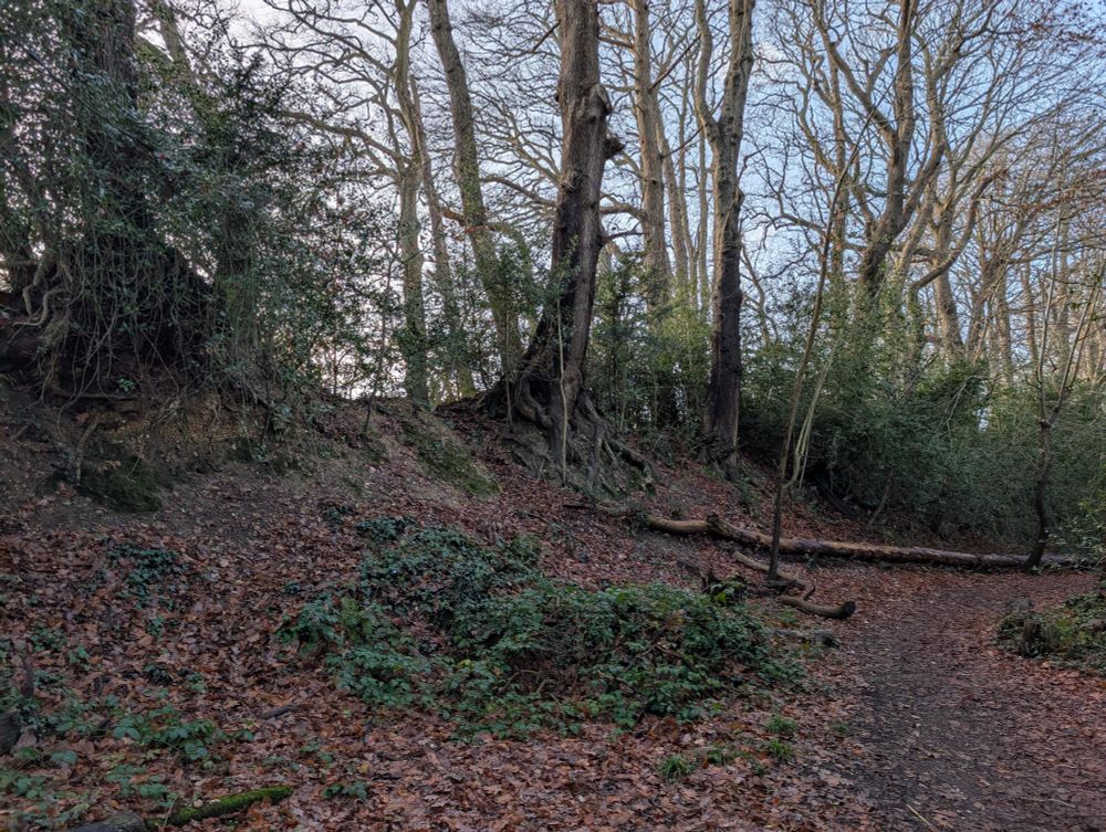An iron age embankment 