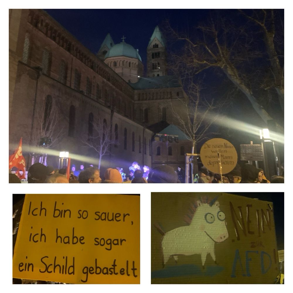 Speyrer Dom bei Nacht mit demonstrierender Menge, Schild mit der Aufschrift: „Ich bin so sauer, ich habe sogar ein Schild gebastelt.“ Weiteres Schild mit dem Neinhorn von Uwe Kling, und Aufschrift „Nein zur AfD“.