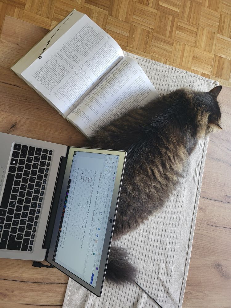 Cat Kēli lying at my Hebrew dictionary beside my laptop, where I was doing some Optimality Theory.