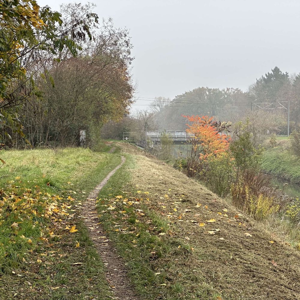 Fußweg an einem Kanal entlang, gefallene gelbe Blätter liegen herum, in etwas Entfernung noch ein bunter Strauch, weiter entfernt grauer Nebel.