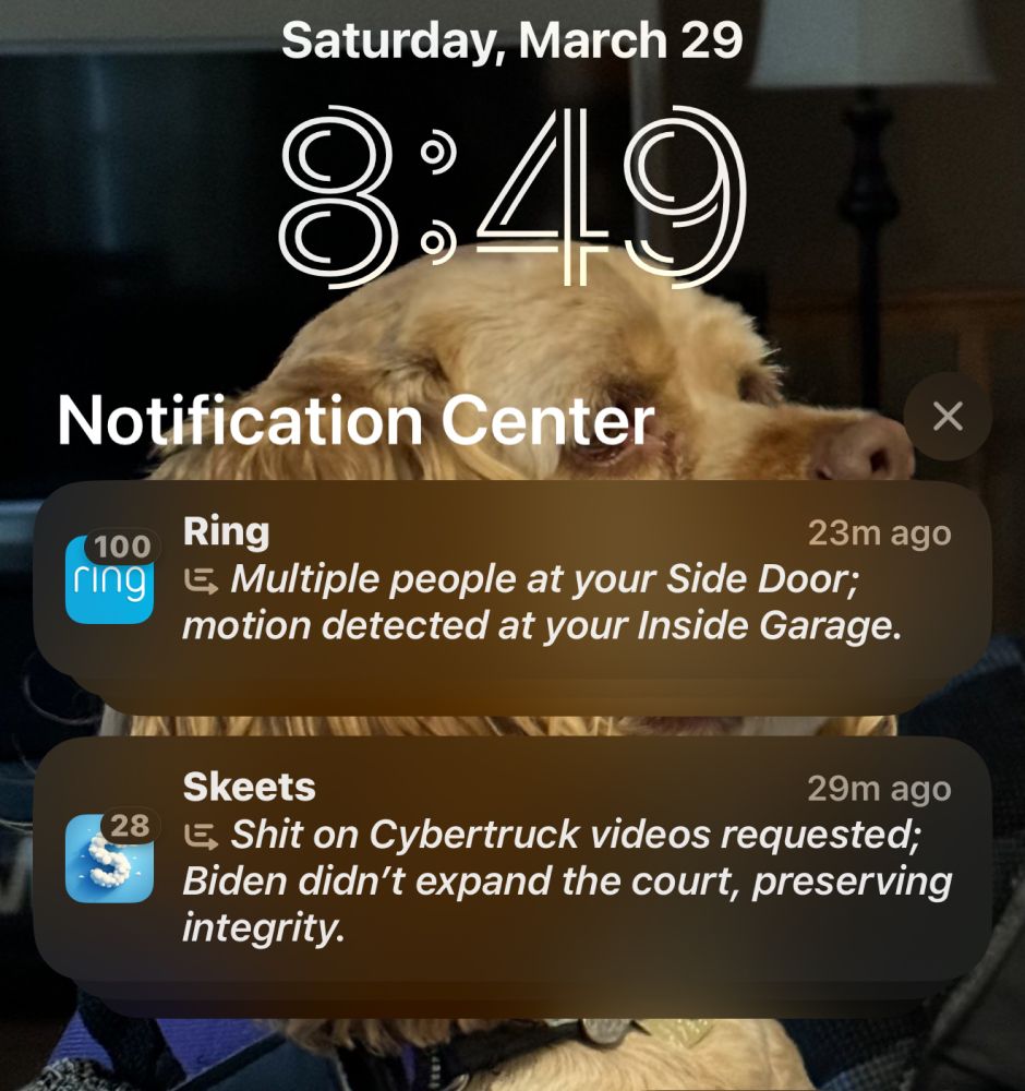 A phone lock screen displaying the Notification Center with the date Saturday, March 29, and the time 8:49. The background image is a close-up of a tan dog with floppy ears. Two notifications are visible: one from the Ring app reading, “Multiple people at your Side Door; motion detected at your Inside Garage,” received 23 minutes ago. The second is from an app called Skeets, reading, “Shit on Cybertruck videos requested; Biden didn’t expand the court, preserving integrity,” received 29 minutes ago.