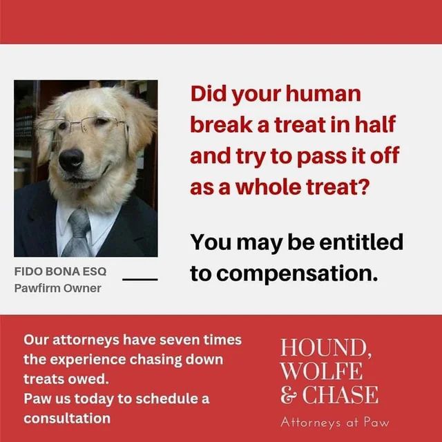 Fake advertisement featuring a dog wearing a suit and tie and glasses. The text says “Did your human break a treat in half and try to pass it off as a whole treat? You may be entitled to compensation.”

The fake ad continues with: “Our attorneys have seven times the experience chasing down treats owed. Paws is today to schedule a consultation.”

The name of the firm is listed as “Hound Wolfe & Chase, Attorneys at Paws”.