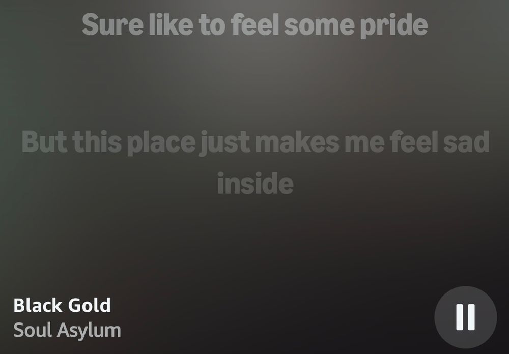 Sure like to feel some pride / But this place just makes me feel sad inside.
From the song "Black Gold" (1992) by Soul Asylum
