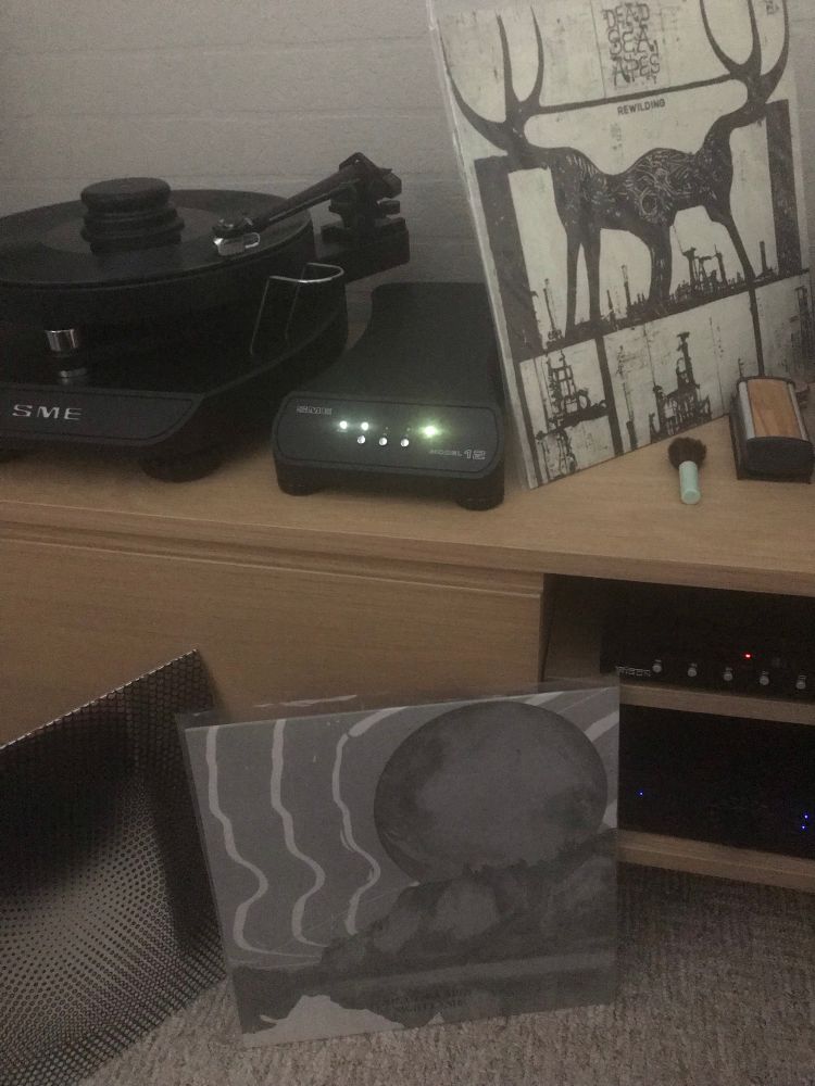 3 vinyl records by The Dead Sea Apes. 
