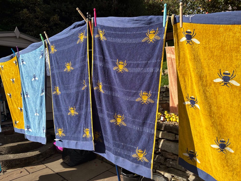 Yellow & blue towels with bee pattern hanging to dry on a washing line.