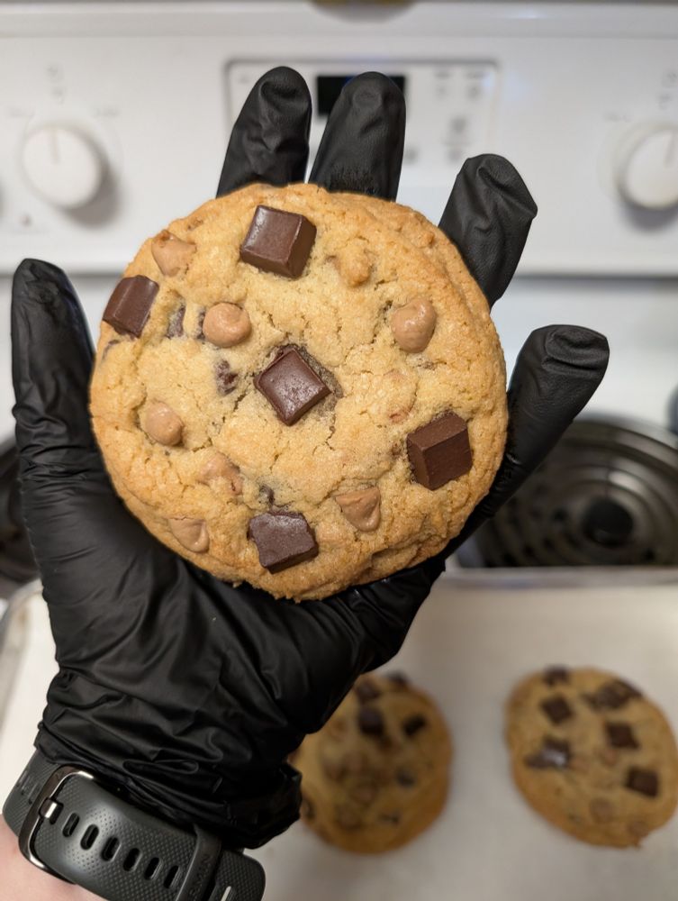 A perfectly circular pale brown cookie with 5 chocolate chunks in a domino style design and six scattered small pale tan baking chips. The cookie is bigger than the palm of an adult female hand, but doesn't take up all the length of their fingers.