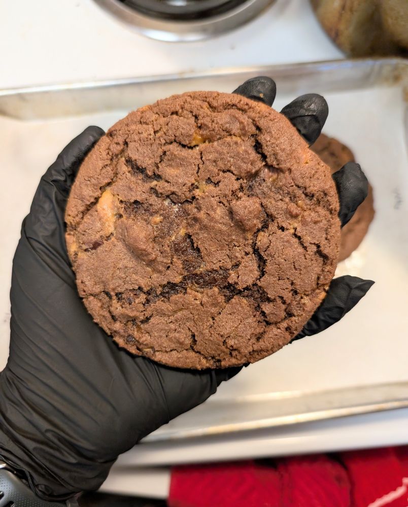 A dark brown chocolate cookie being held by a hand covered in a black nitrile glove. Silver baking pan with parchment in background on stove top. 
