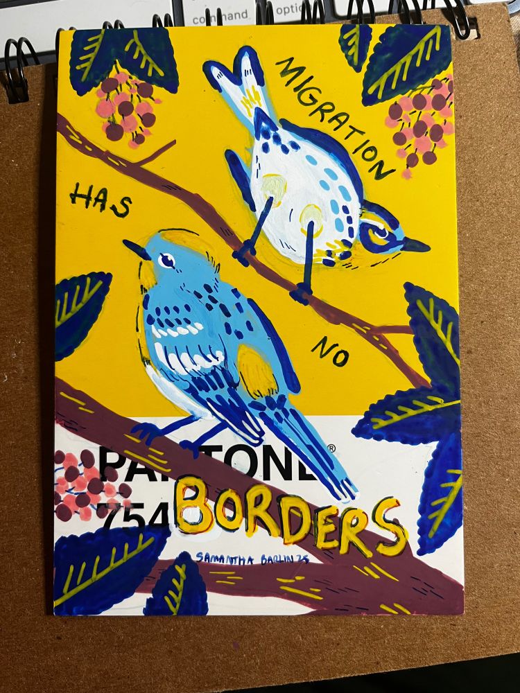A postcard drawn in posca markers. The background is yellow and the birds are drawn in blue. They sit in a toyon bush with dark blue leaves and mauve/pink berries. On the lower branch sits a yellow-rumped warbler. It is facing away from the audience. On the top branch sits a townsend’s warbler. Hand written on the card are the words “migration has no borders”