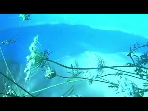 CLOVER - "Atlas" Official Lyric Video