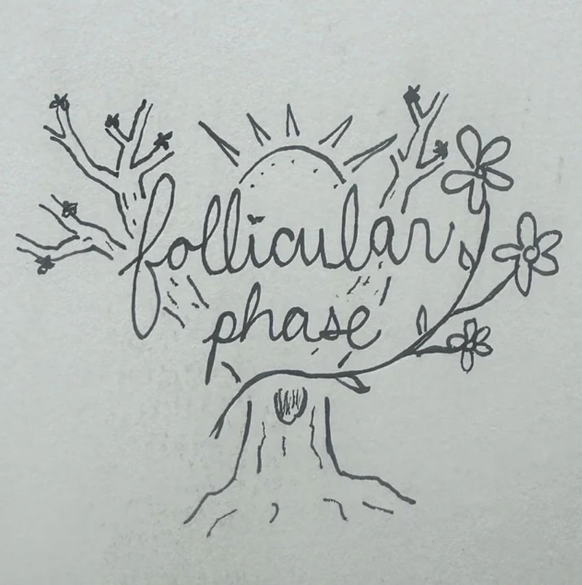 hand drawn doodle of the cursive words “follicular phase” with a tree in the background sprouting buds & flowers, and a sunrise. 