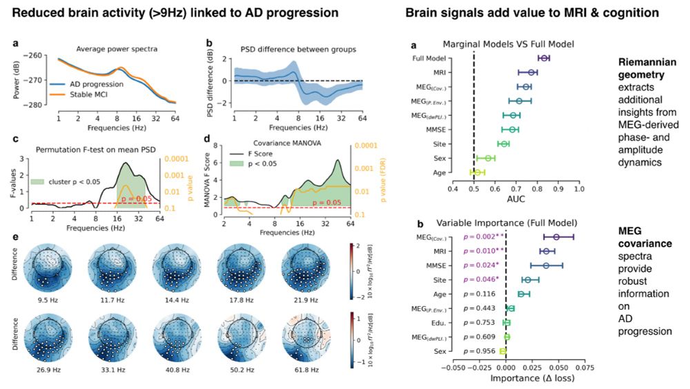 Cover figure presenting main results from the paper. Left: altered spectral power and covariance difference between AD progressers and stable MCI patients. Right: multivariate analysis, highlighting the complementarity of MEG covariance spectra, MRI cortical volumes and baseline control measures.