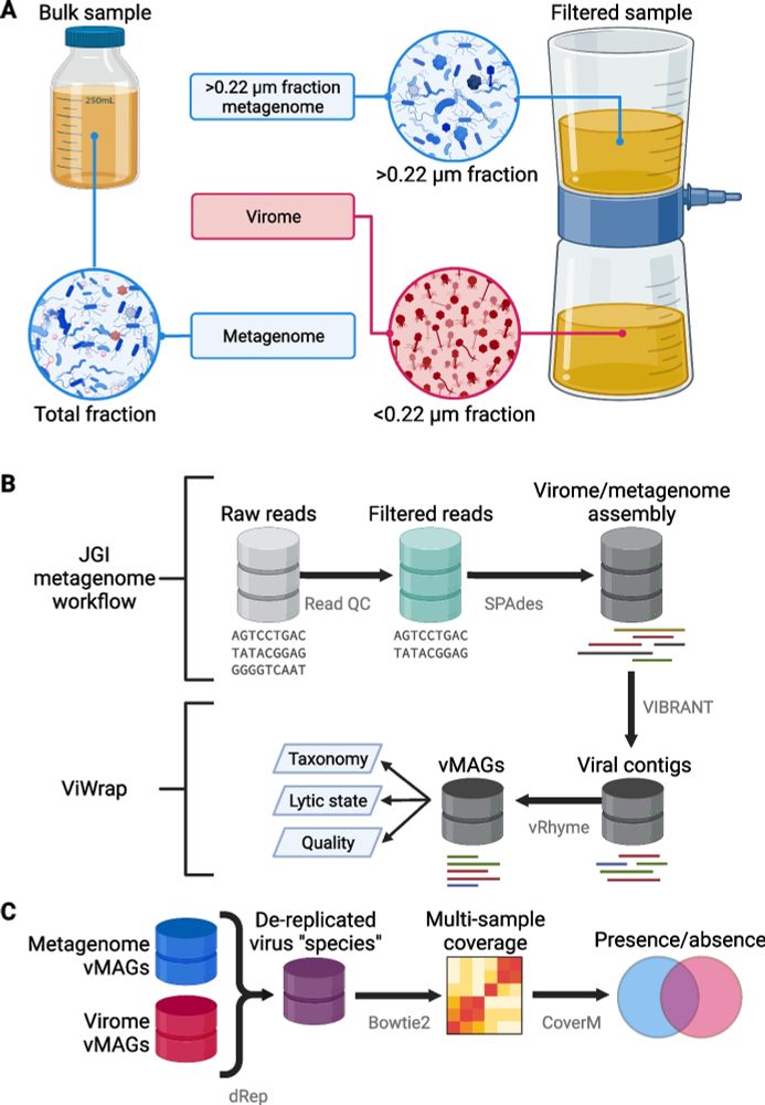 Viromes vs. mixed community metagenomes: choice of method dictates interpretation of viral community ecology - Microbiome