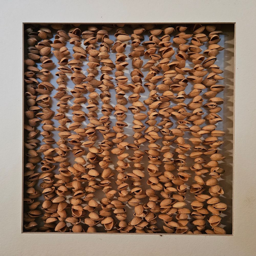 Das Bild zeigt eine quadratische Fläche, die in einem hellen Rahmen eingefasst ist. Innerhalb des Rahmens sind zahlreiche Pistazien-Schalen angeordnet. Die Schalen sind gleichmäßig und dicht nebeneinander platziert, sodass sie eine strukturierte Anordnung bilden. Die Schalen haben eine ovale Form und sind an einer Seite geöffnet, wodurch sie eine Art von Vertiefung aufweisen. Die Oberfläche der Schalen ist glatt und glänzend, während die Innenseite eine hellere Farbe aufweist. Die gesamte Anordnung der Schalen ist symmetrisch und erstreckt sich über die gesamte Fläche des Rahmens. (dieser text wurde mit GPT-4 erzeugt und menschlich redigiert)