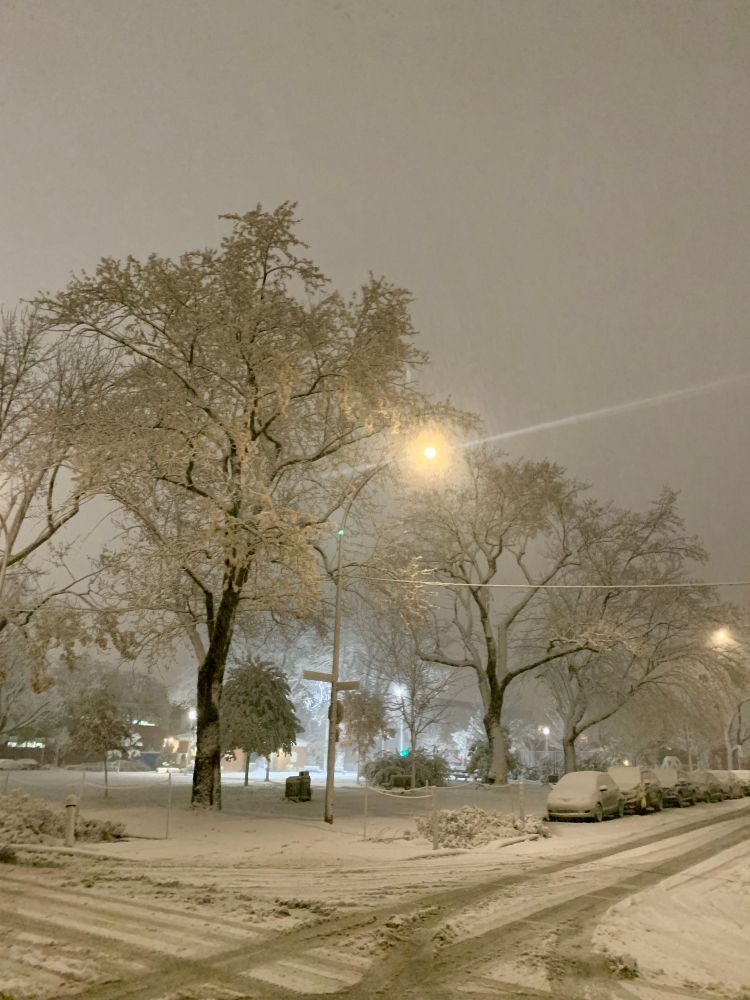 snow covering streets and cars at a residential intersection facing a small
park. bare tree branches are coated in snow under street lights at night. 