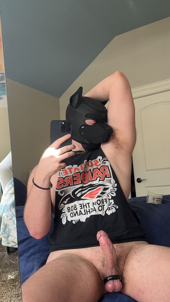 Dog huffing his pits with his greased up bone out 