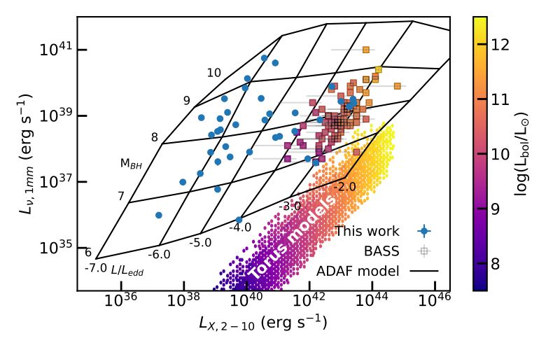 A graph showing the mm-luminosities and X-ray luminosities of our sample galaxies, with the results of classical torus models and ADAF models overplotted. The torus models underpredict the mm luminosity of our sources by >2 orders of magnitude, while the ADAF grid explains them much better