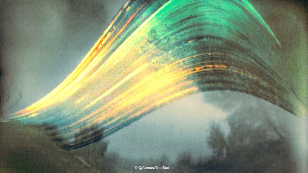 A pinhole camera photo taken from Summer to Winter Solstice. It's a bit blurry as the aperture was made with a tiny needle and no focus mechanism. There are yellow to green lines across the photo, that's the Sun moving across the sky over the course of a day. The top line is from the Summer Solstice, the bottom line from the Winter Solstice. Cloudy days don't have any lines or broken lines as the Sun was obscured by clouds. There are some trees on the left, right and in the background.