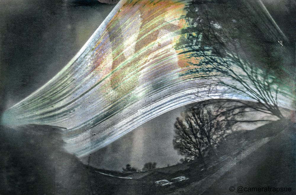 A pinhole camera photo, a 6 month exposure from Summer to Winter solstice. There are trees on the right side and background. A house with two cars in the drive are visible almost in the center of the photo. The lines are made from the Sun moving across the sky with the bottom line being the Winter Solstice and the top line the Summer solstice. On cloudy days the lines are broken or not visible as the sun was obscured by clouds. The lines show some reflections from a tree trunk. The lines are mostly a white color with some hints of blue, green and yellow in places. Some of the colors could be from rain or snow staining the paper I was using.