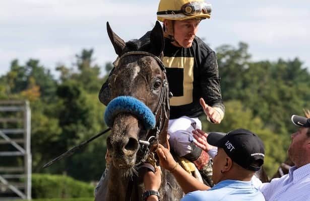 A head-on close-up of the upper portion of a brown horse wearing a blue shadow roll. A jockey sits astride, wearing black silks with a gold square emblem. A groom fiddles with the horse's bridle, while another person holds a hand out to high-five the jockey.