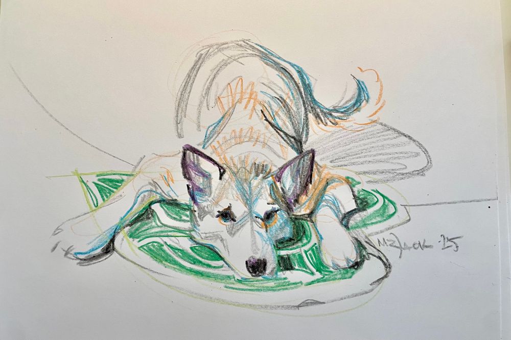 Crayon drawing of a dog lying on a leafy rug