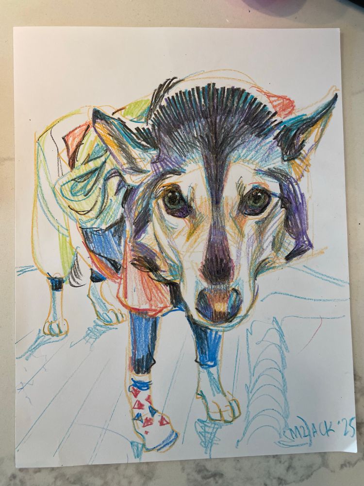 Crayon drawing of a suspicious dog wearing a hoodie 