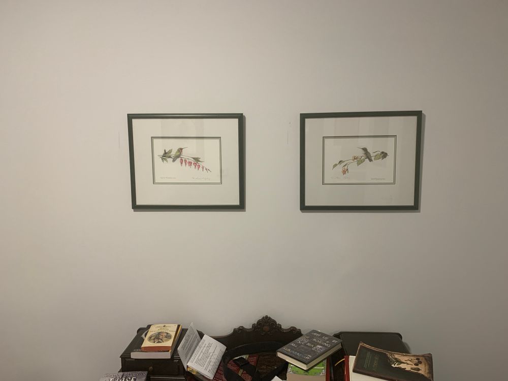 two framed prints of hummingbirds and flowers, above an old-fashioned desk piled with Too Many Books