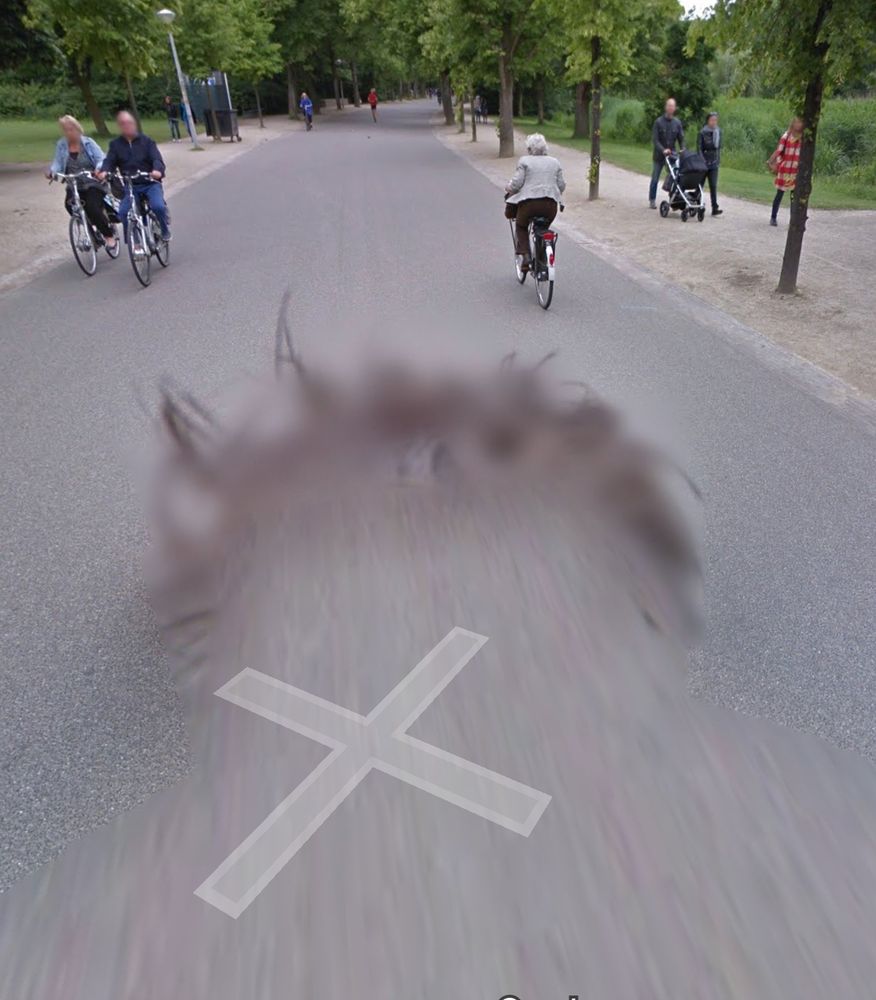 On Street View, a huge mop of hair rides a bike through the Vondelpark in Amsterdam.