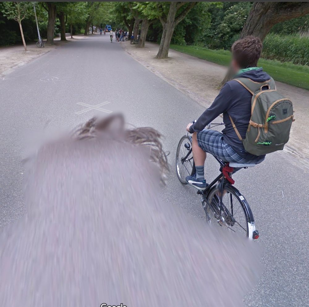 On Street View, a huge mop of hair rides a bike through the Vondelpark in Amsterdam.