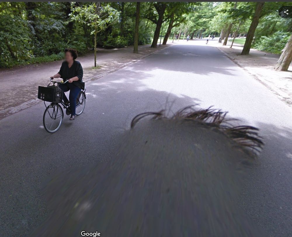 On Street View, a huge mop of hair rides a bike through the Vondelpark in Amsterdam.
