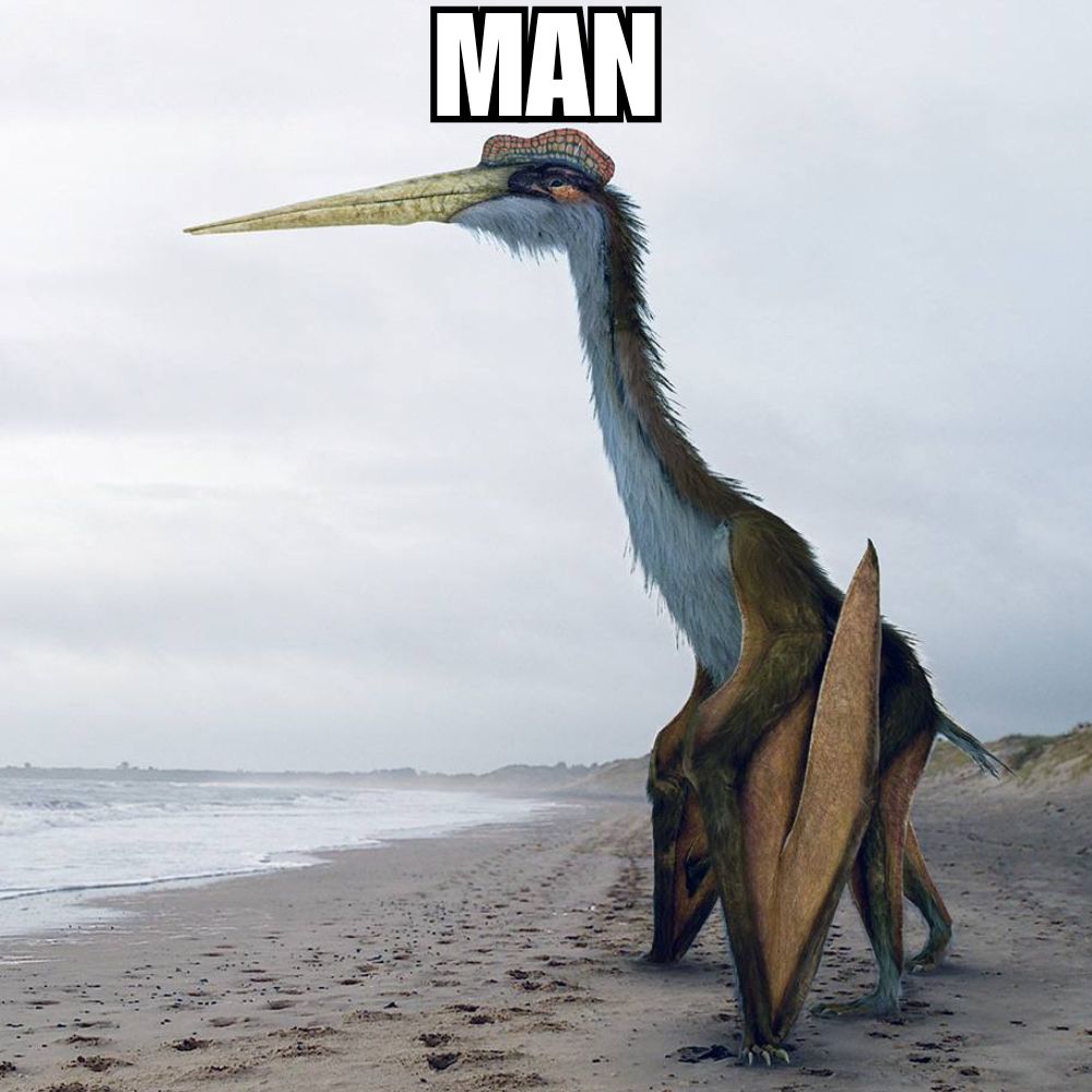 Quetzalcoatlus standing on a beach and staring out at the sea like that one horse in the meme image simply captioned "Man." Fittingly, this one has the same caption.