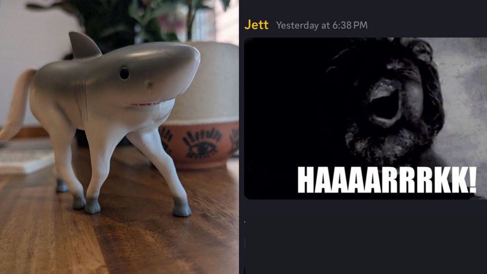 A plastic great white shark with a horse's lower torso and back end; Jett posting a GIF of Thomas (played by Willem Dafoe) screaming "HAAAARRRKK!"