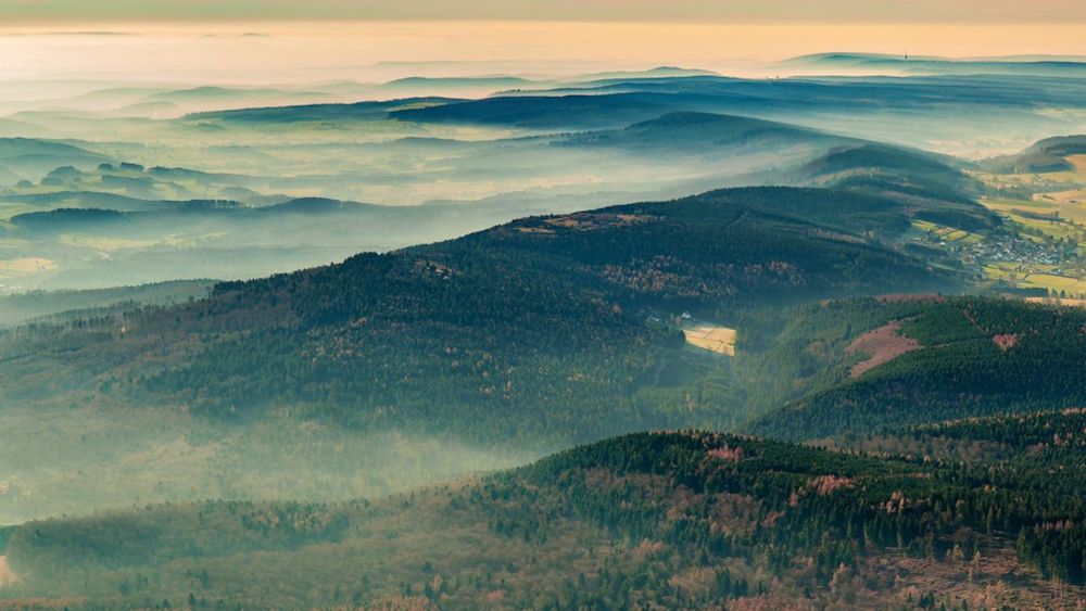 Naturschutz in Deutschland: Wunsch und Wald