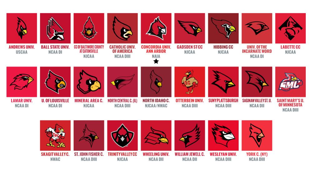 A collection of college football logos featuring cardinals, circa 2021. Of the 25 shown, two of them have teeth: U. of Louisville and Skagit Valley C.