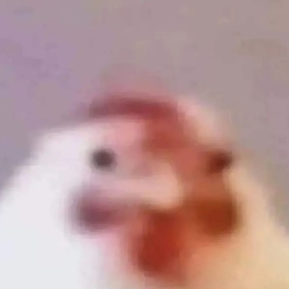 It's a blurry chicken 