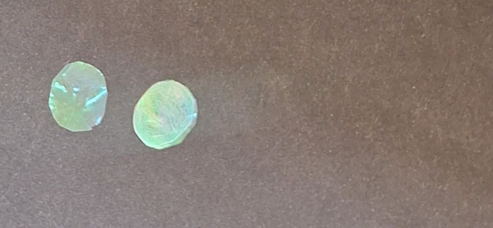 A fish scale and a synthetic fish scale 
