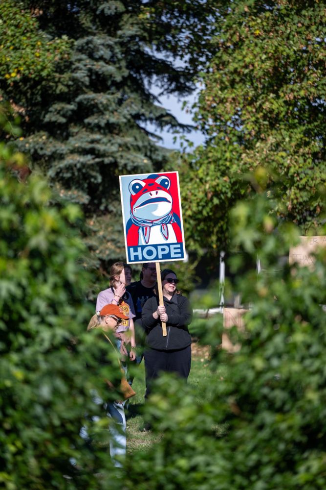 A person in the distance holds a sign that says "HOPE" below a frog illustration