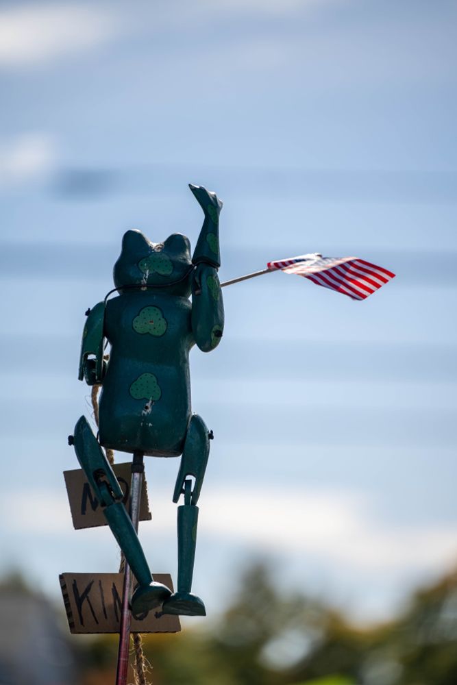 A green frog puppet holds a U.S. flag in one hand and its other hand in the air. Two small signs hang on a string that read "NO" and "KINGS"