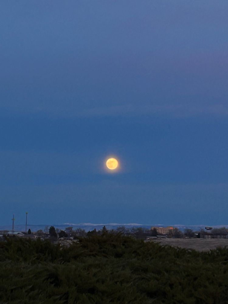 A photo of the moon
