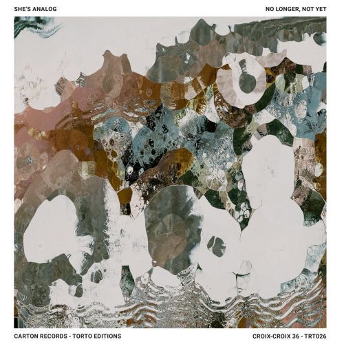 Italian trio She's Analog have an intriguing and atmospheric approach to instrumental #improv. With No Longer, Not Yet, their second album, they attempt to create a space that is liminal, somewhere that movement and creation intersect with sound and it has to be said it is pretty successful. #musicreview