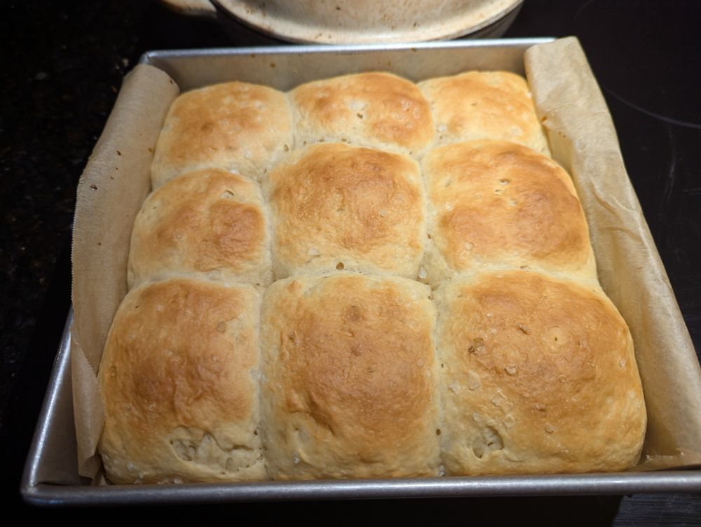 Sourdough discard rolls