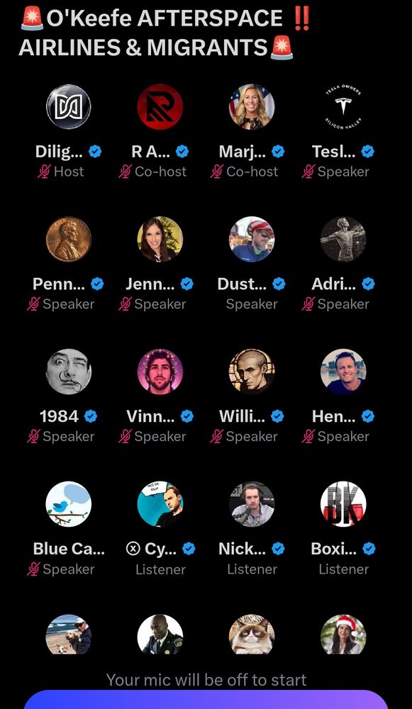 Spaces with a bunch of blue check fascists