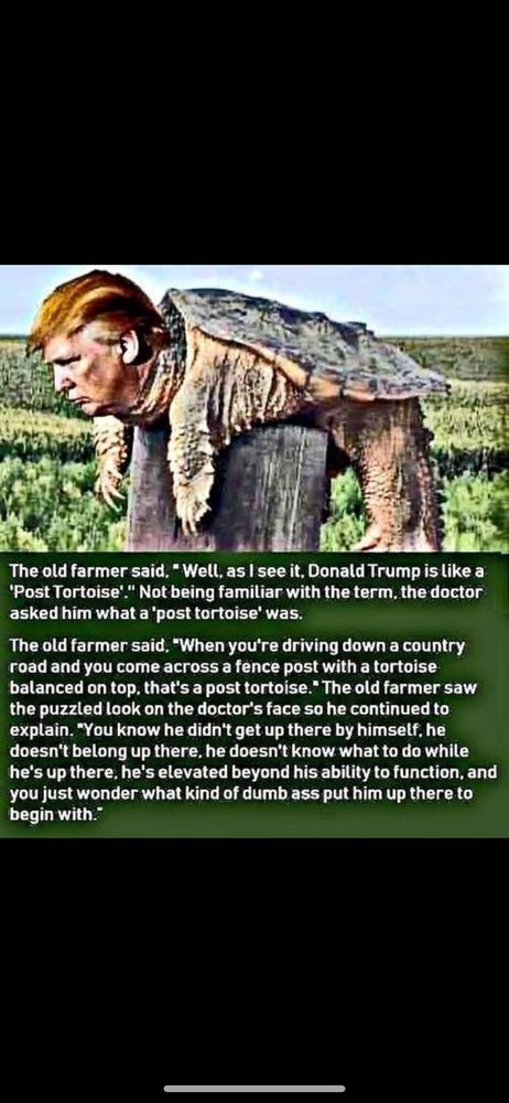The old farmer said. *Well, as I see it. Donald Trump is like a
'Post Tortoise." Not being familiar with the term, the doctor asked him what a "post tortoise' was.
The old farmer said. "When you're driving down a country road and you come across a fence post with a tortoise balanced on top, that's a post tortoise." The old farmer saw the puzzled look on the doctor's face so he continued to explain. "You know he didn't get up there by himsetf. he doesn't belong up there, he doesn't know what to do while he's up there, he's elevated beyond his ability to function, and you just wonder what kind of dumb ass put him up there to begin with.