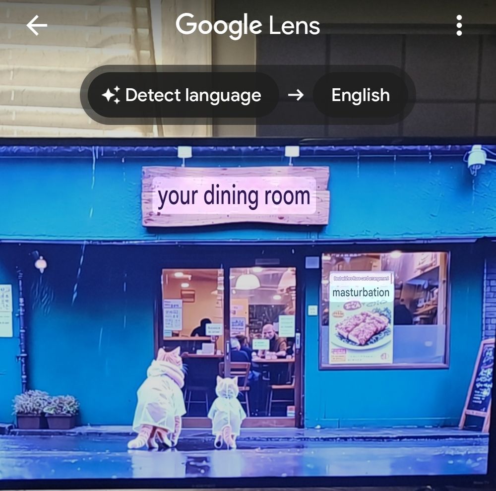  The image shows Google lens translation of the previous image. The exterior of a restaurant named "your dining room" with a blue facade and a wooden sign. Two dogs in raincoats stand outside, facing the glass entrance where diners are visible inside. A poster to the right of the door features food and the word "masturbation." The ground is wet, suggesting a rainy day.