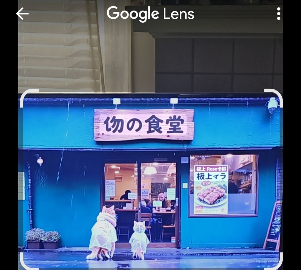 restaurant with a sign in Japanese that reads "物の食堂" (Mono no Shokudo). The building is painted in a teal color, and there is a large window displaying a poster advertising a dish. The poster includes text in Japanese, "極上 Rose 板上イラ" and an image of a plate of food. In front of the restaurant, there are two figures dressed in raincoats, resembling animals, possibly dogs, standing on the wet pavement. The interior of the restaurant is visible through the glass door, showing people seated and dining.
